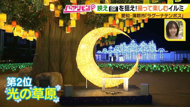 画像6: インスタ映え間違いなしの絶景が多数♪ 撮って楽しむ、体験イルミネーション!