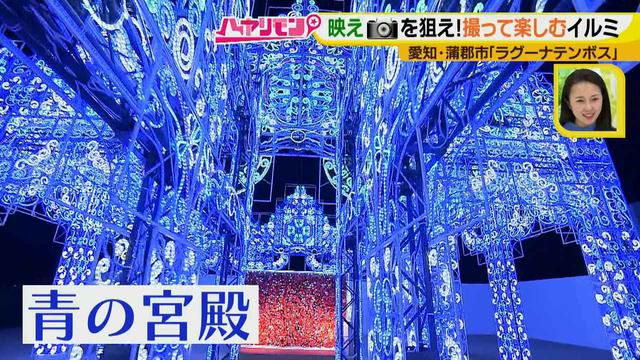 画像12: インスタ映え間違いなしの絶景が多数♪ 撮って楽しむ、体験イルミネーション!