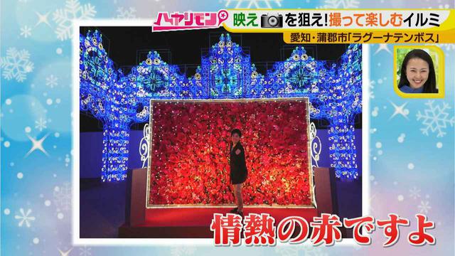 画像13: インスタ映え間違いなしの絶景が多数♪ 撮って楽しむ、体験イルミネーション!