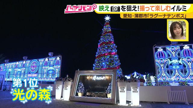 画像7: インスタ映え間違いなしの絶景が多数♪ 撮って楽しむ、体験イルミネーション!