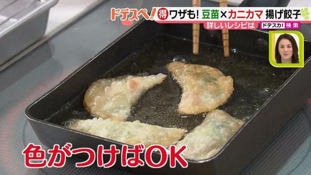 画像8: 野菜の価格高騰にも負けない! コスパ&栄養抜群、簡単おいしい揚げ餃子レシピ♪