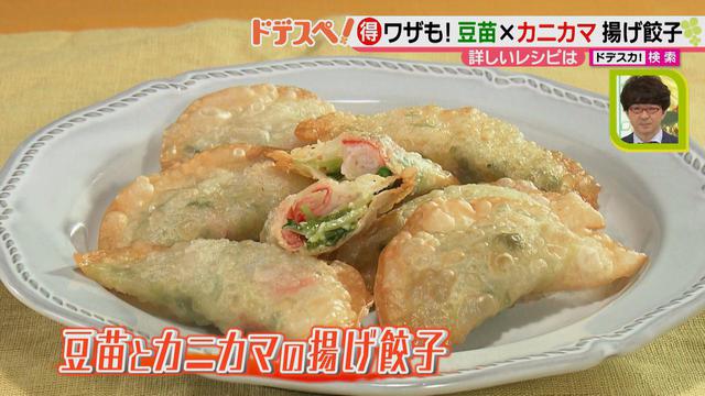 画像9: 野菜の価格高騰にも負けない! コスパ&栄養抜群、簡単おいしい揚げ餃子レシピ♪