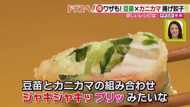 画像10: 野菜の価格高騰にも負けない! コスパ&栄養抜群、簡単おいしい揚げ餃子レシピ♪