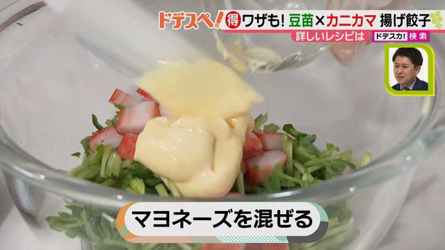 画像4: 野菜の価格高騰にも負けない! コスパ&栄養抜群、簡単おいしい揚げ餃子レシピ♪