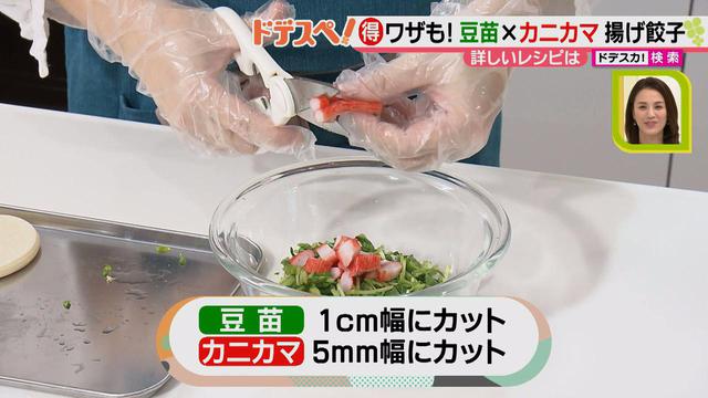 画像3: 野菜の価格高騰にも負けない! コスパ&栄養抜群、簡単おいしい揚げ餃子レシピ♪