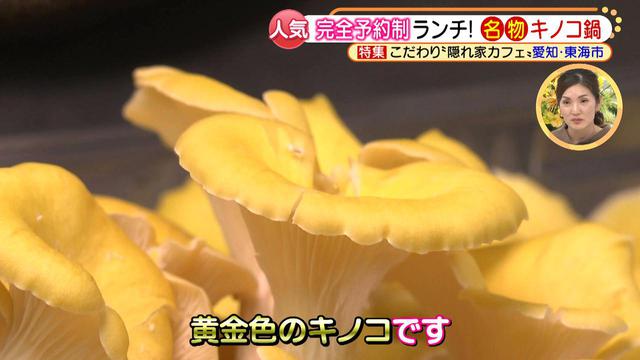 画像8: 雰囲気抜群! ゆったりレトロ空間とおいしい料理が楽しめる♪
緑に囲まれた、癒しの隠れ家カフェとは?