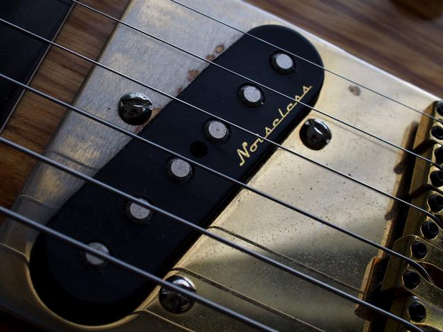 画像: Vintage Noiseless PU