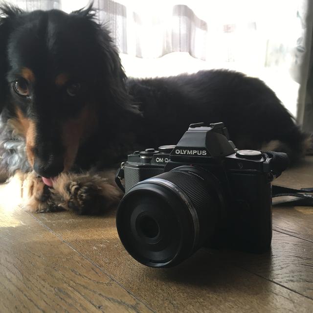 画像: M.ズイコーデジタル ED30mmF3.5 Macro
