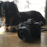 画像: M.ズイコーデジタル ED30mmF3.5 Macro