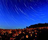 画像: 足元に広がるひまわり畑と夜空に広がる星空とのコラボレーションも圧巻だ