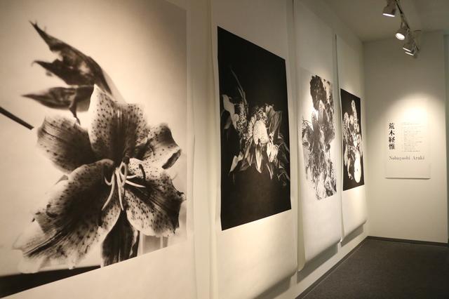 画像: ▲展示会場の様子(一部)。 www.epson.jp