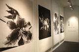画像: ▲展示会場の様子(一部)。 www.epson.jp