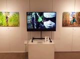 画像2: ヨシダナギ写真展『HEROES』の会期は残すところあと一週間です!