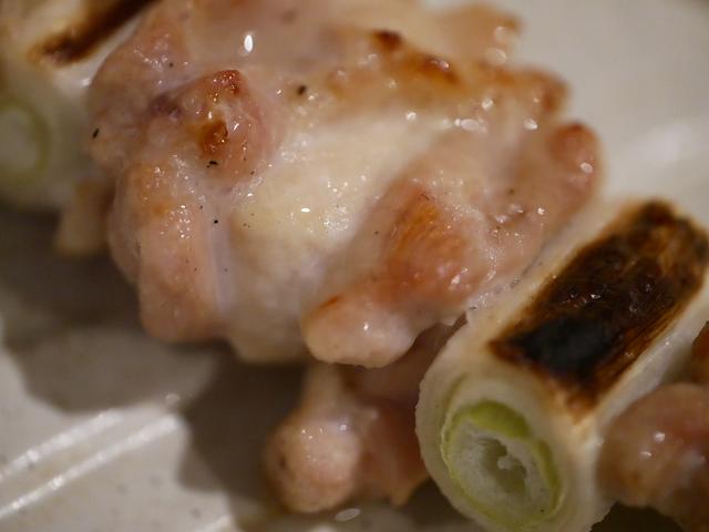 画像: ねぎま。寄りすぎですね。でもこんなに寄れることに感動。