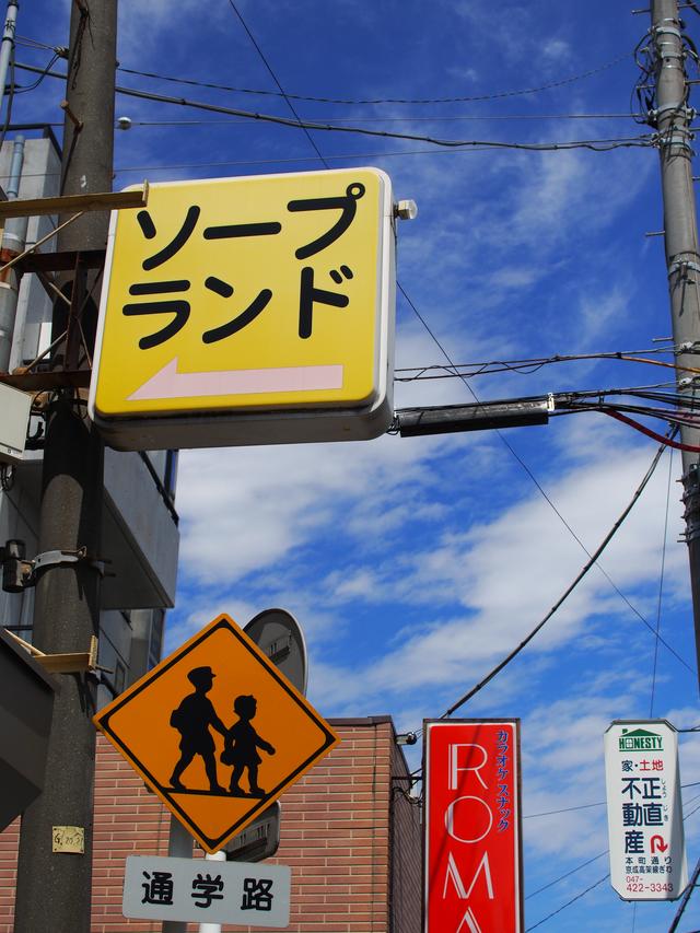 画像: ズームレンズのほうがはるかに使い勝手が良いような。