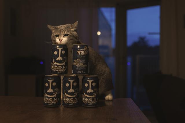 画像: ▲大門さんが一時期お好みだったビール「インドの青鬼」を積み上げたところ、狙いどおりの位置に小花さんが顔を覗かせてくれた作品。 ■キヤノンEOS 6D タムロンSP45mm F1.8Di VC USD 絞り優先AE(F3.2)WB:オート ISO3200