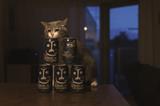 画像: ▲大門さんが一時期お好みだったビール「インドの青鬼」を積み上げたところ、狙いどおりの位置に小花さんが顔を覗かせてくれた作品。 ■キヤノンEOS 6D タムロンSP45mm F1.8Di VC USD 絞り優先AE(F3.2)WB:オート ISO3200