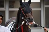 画像: パドックで狙うは馬の歯グキ