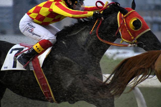 画像3: 400mm