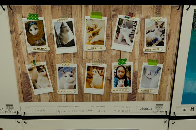 画像2: これだけの写真を一気に見ることができる機会はそうないぞ、っと