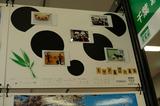 画像: チェキの組写真もたくさん展示されている。さすが富士フイルムの写真展だ!