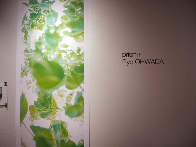 画像1: 大和田 良 写真展 『prism+| prints』は7月18日~29日に開催されます。表参道ピクトリコショップ&ギャラリーのオープニング企画展です。