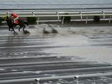 画像: これまた静音L連写。押すだけで恐ろしいほどシャッターは落ちます。特観席のガラス越しの撮影ですので、条件は悪いです。