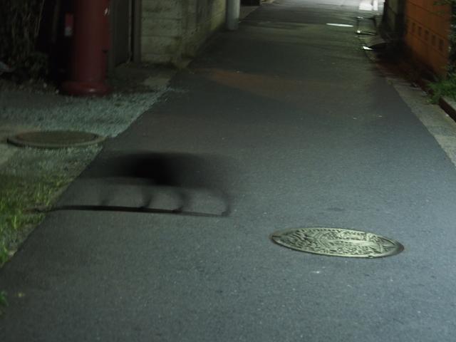 画像: クロネコが横切る路地。夜のお墓とかも同様。そもそも暗すぎです。コントラストなんてあったモンじゃない。ここで認識したらネタですね。まあ、それを望んでいる部分もあるんだけど…。