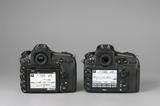 画像: 左がD850で右がD810。D850はボディ左下部に「Fn2(ファンクション2)」ボタンを設けている。