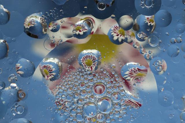 画像: ▲特別テーマ部門大賞 作品「花玉浮遊」 林 勝恵さん。 www.fujifilm.co.jp
