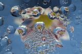 画像: ▲特別テーマ部門大賞 作品「花玉浮遊」 林 勝恵さん。 www.fujifilm.co.jp