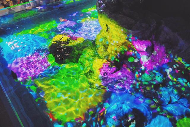 画像: ▲Instagramより。他の作品をご覧になりたい方は写真をクリックしてください。 www.instagram.com