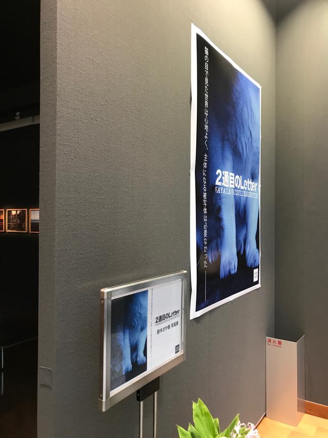画像: ▲展示は10/18(水)15時まで。お見逃しなく! cweb.canon.jp