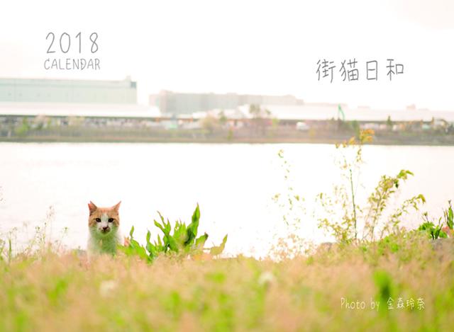 画像: ▲金森玲奈さんの「街猫日和」。 mm-style.jp