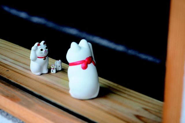 画像10: 金森玲奈さん「街猫日和」