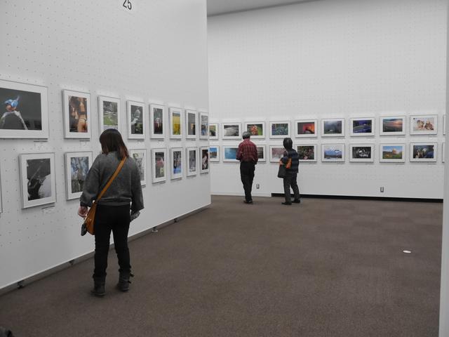 画像2: 広々とした素晴らしい空間に、余裕をもって作品が展示されています。