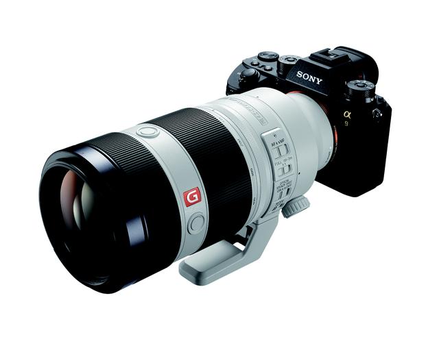 画像1: 今回の撮影で使用した機材はα9+FE 100-400㎜ F4.5-5.6 GM OSSとRX10 Ⅳ