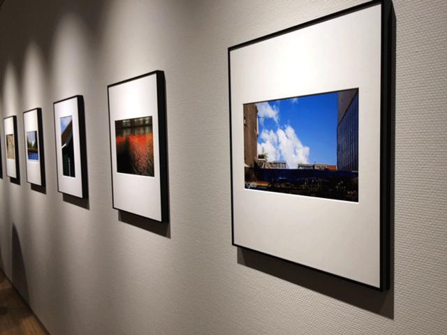 画像: 佐藤倫子写真展『CAMBO』。オランダ製4×5カメラを愛した作者がアムステルダムで切り撮った造形美とは…。
