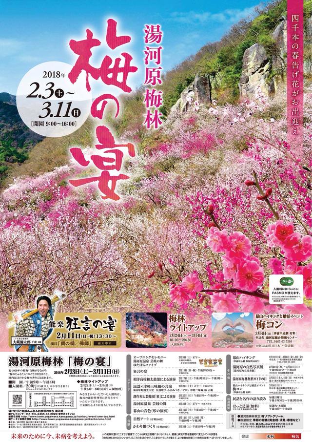 画像: まさに撮影に最高の時期となっています