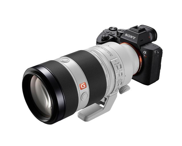 画像: 今回の撮影で使用した機材はα7R Ⅲ+FE 100-400㎜ F4.5-5.6 GM OSS