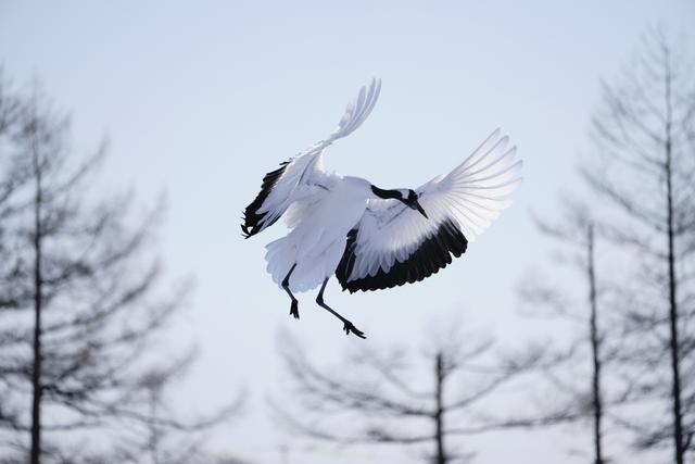 画像1: α7R Ⅲで感じたフルサイズミラーレス機の魅力!