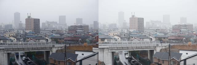 画像: やっと雨が降りました!