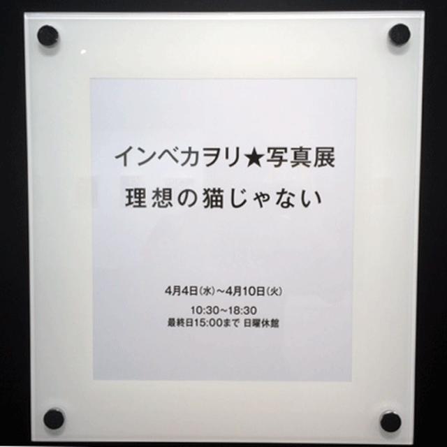 画像: ■会場:銀座ニコンサロン 中央区銀座7-10-1 TEL03-5537-1469 ■会期:開催中 〜4月10日(火) ※大阪ニコンサロンは5月7日(月)より開催予定