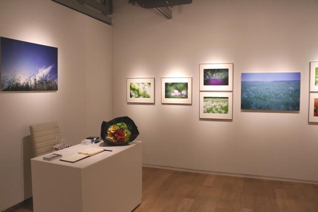 画像2: ▲展示作品の一部より www.sony.co.jp