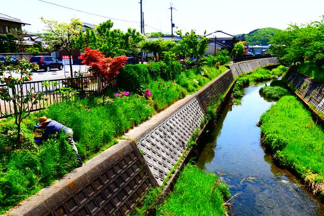 画像: 何も写ってはいないのですが、なんか目を引く効果はあるかも。