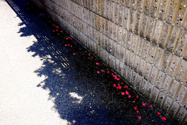 画像: 実はけっこう気に入ってます。