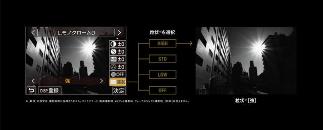 画像: 粒状設定画面。