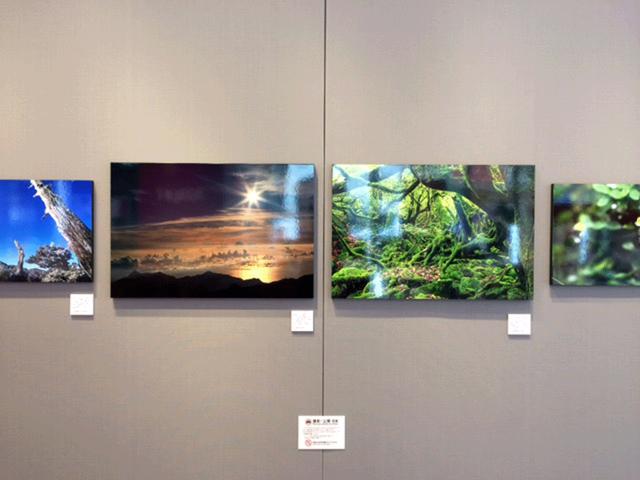 画像2: 秦 達夫写真展『Rainy Days 屋久島』は、富士フイルムフォトサロンにて本日25日より始まりました。