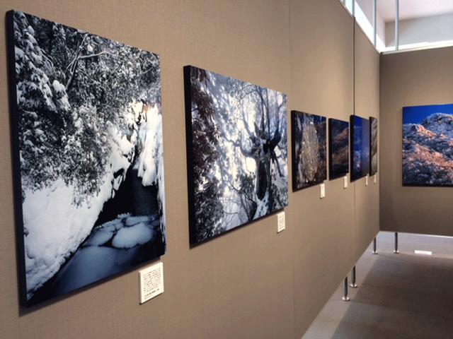 画像: ■会場:富士フイルムフォトサロン東京 港区赤坂9-7-3 フジフイルムスクエア内 ■会期:開催中 ~5月31日(木) 10:00~19:00 ※ギャラリー・トーク:5月25日・26日・27日 各日14時~ ●同展は、富士フイルムフォトサロン大阪、同名古屋でも開催予定