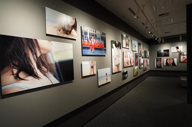 画像1: 今回の展示作品の一部より